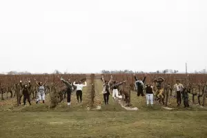 Ontario wine | Grapes & Growth Wine Camp participants jumping in a vineyard Ontario wine | Grapes & Growth Wine Camp participants jumping in a vineyard