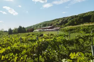 Nova Scotia wineries | Benjamin Bridge winery in Nova Scotia