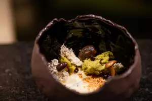 Farm-to-table dining in Qu&eacute;bec: A dish of mushrooms and more at Tani&egrave;re&sup3;, Qu&eacute;bec&rsquo;s only two-star Michelin spot