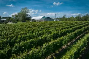 Farm-to-table dining in Qu&eacute;bec: A vineyard in the Montegerie region of Quebec