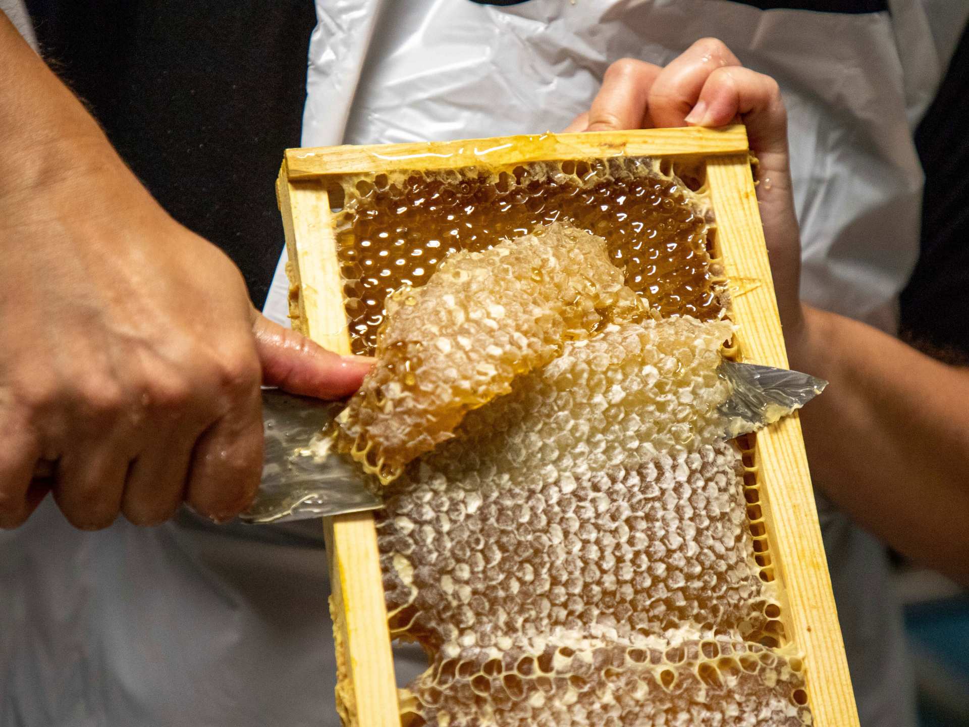 Honey and honeycomb | Harvesting honey Honey and honeycomb | Harvesting honey