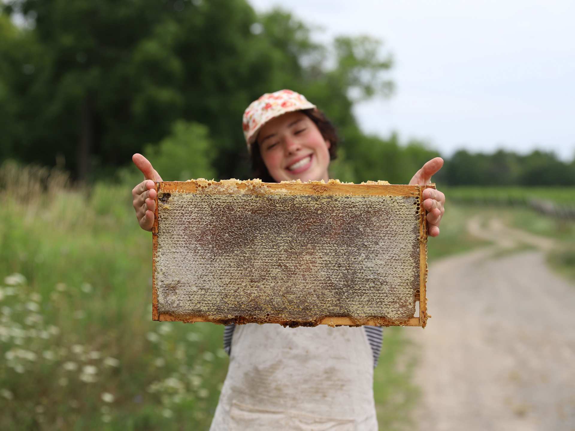 Honey and honeycomb | Kat's honey harvest Honey and honeycomb | Kat's honey harvest