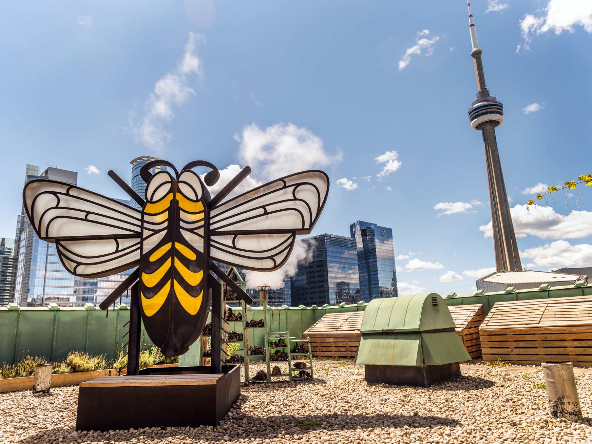 Honey and honeycomb | The rooftop apiary at Fairmont Royal York Honey and honeycomb | The rooftop apiary at Fairmont Royal York