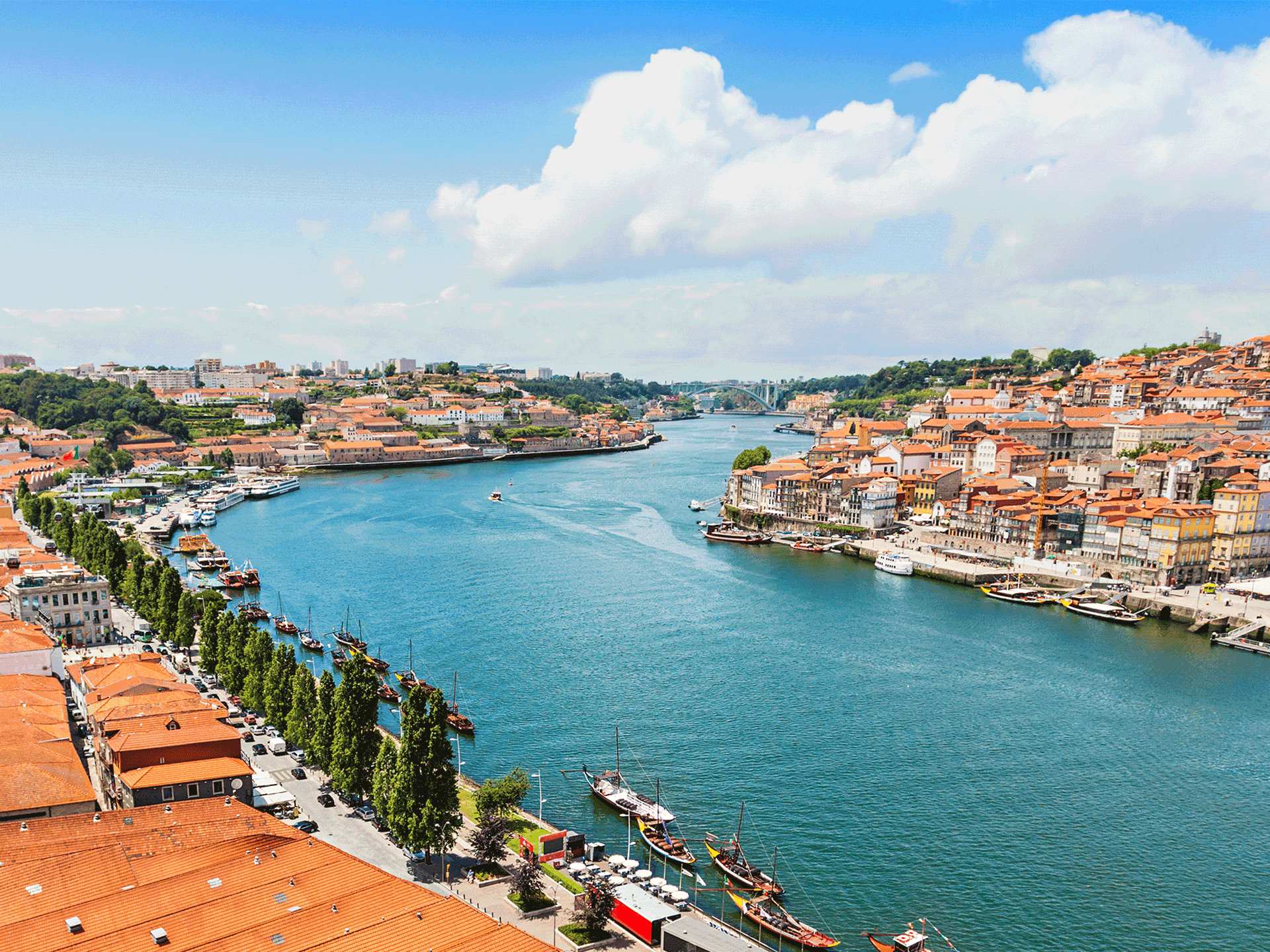 Wines from Portugal | Bridge in Porto
