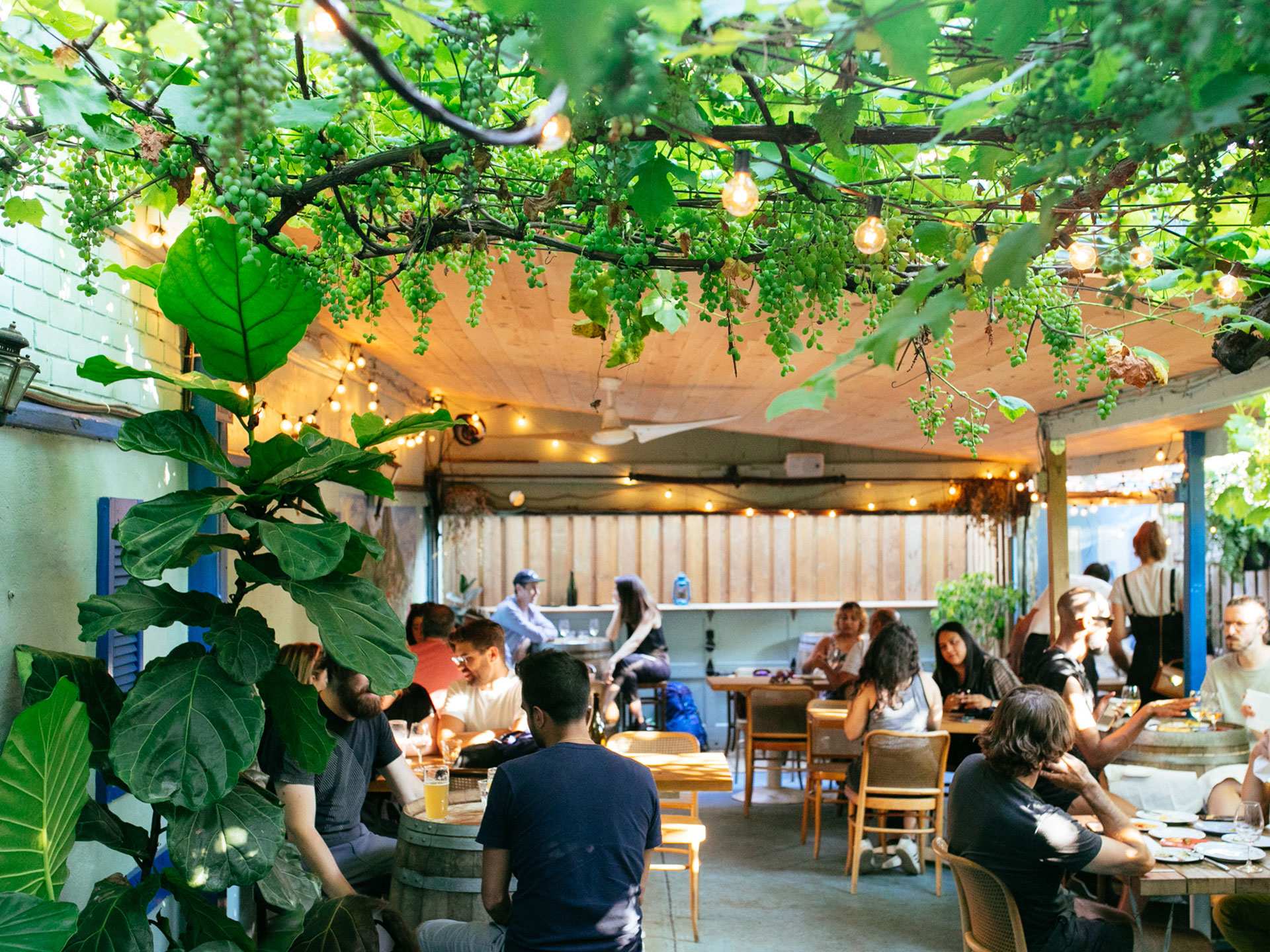 Natural wine Toronto | Patio at Paradise Grapevine Natural wine Toronto | Patio at Paradise Grapevine