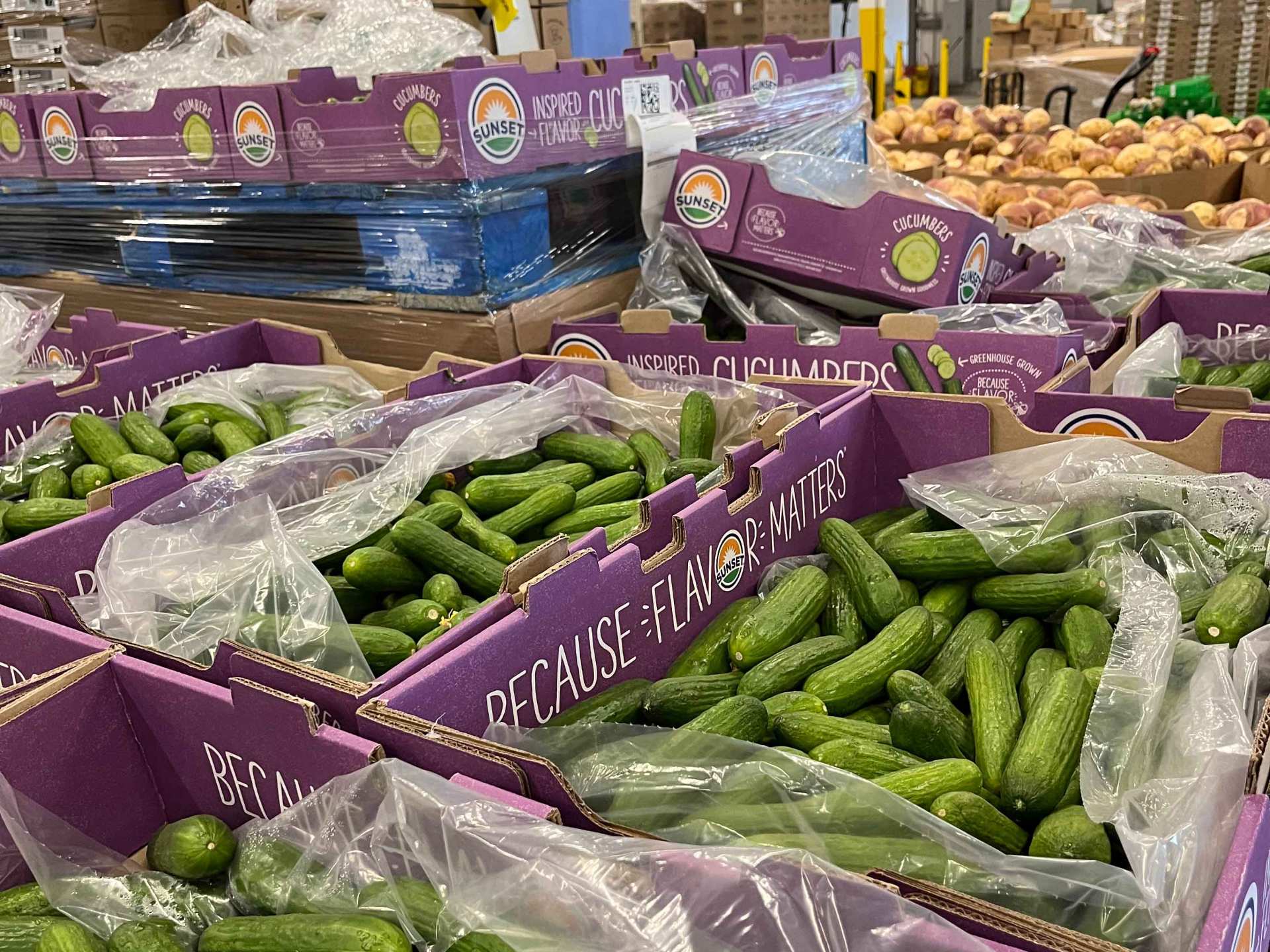 Boxes of fresh produce at a Second Harvest warehouse Boxes of fresh produce at a Second Harvest warehouse