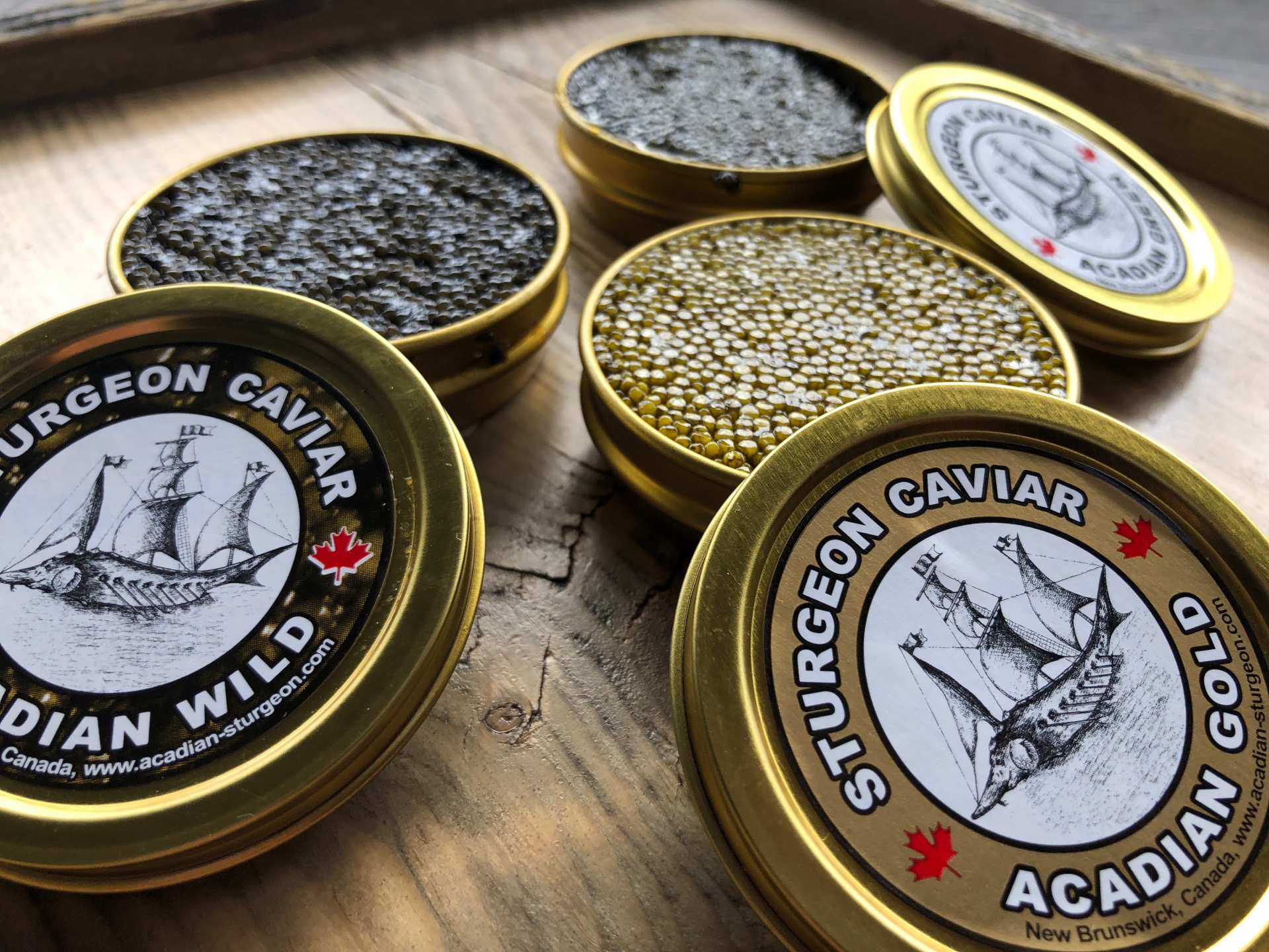 Caviar from Acadian Sturgeon and Caviar Inc. Caviar from Acadian Sturgeon and Caviar Inc.