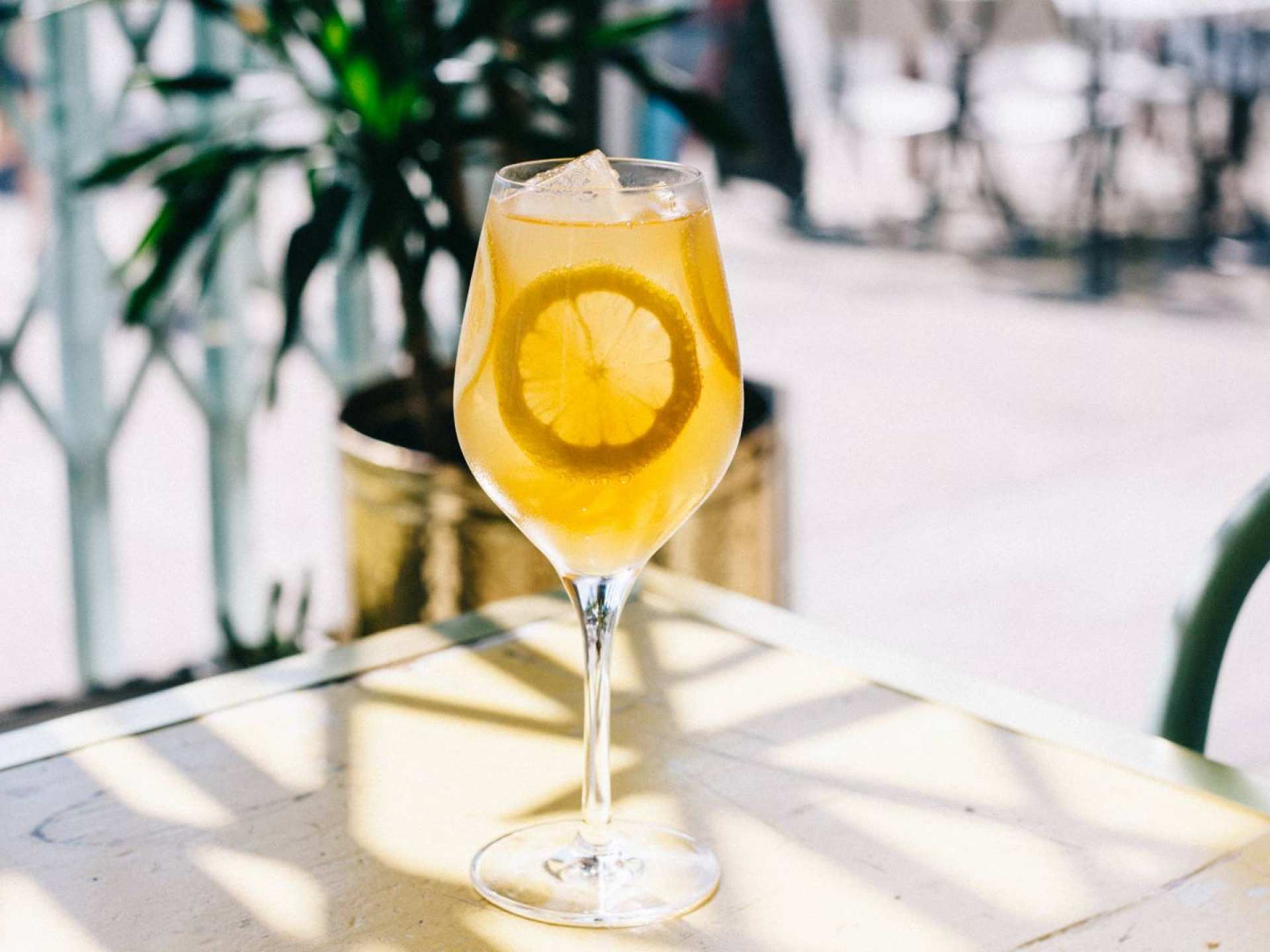 Best wine bars Toronto | A cocktail at Grey Gardens