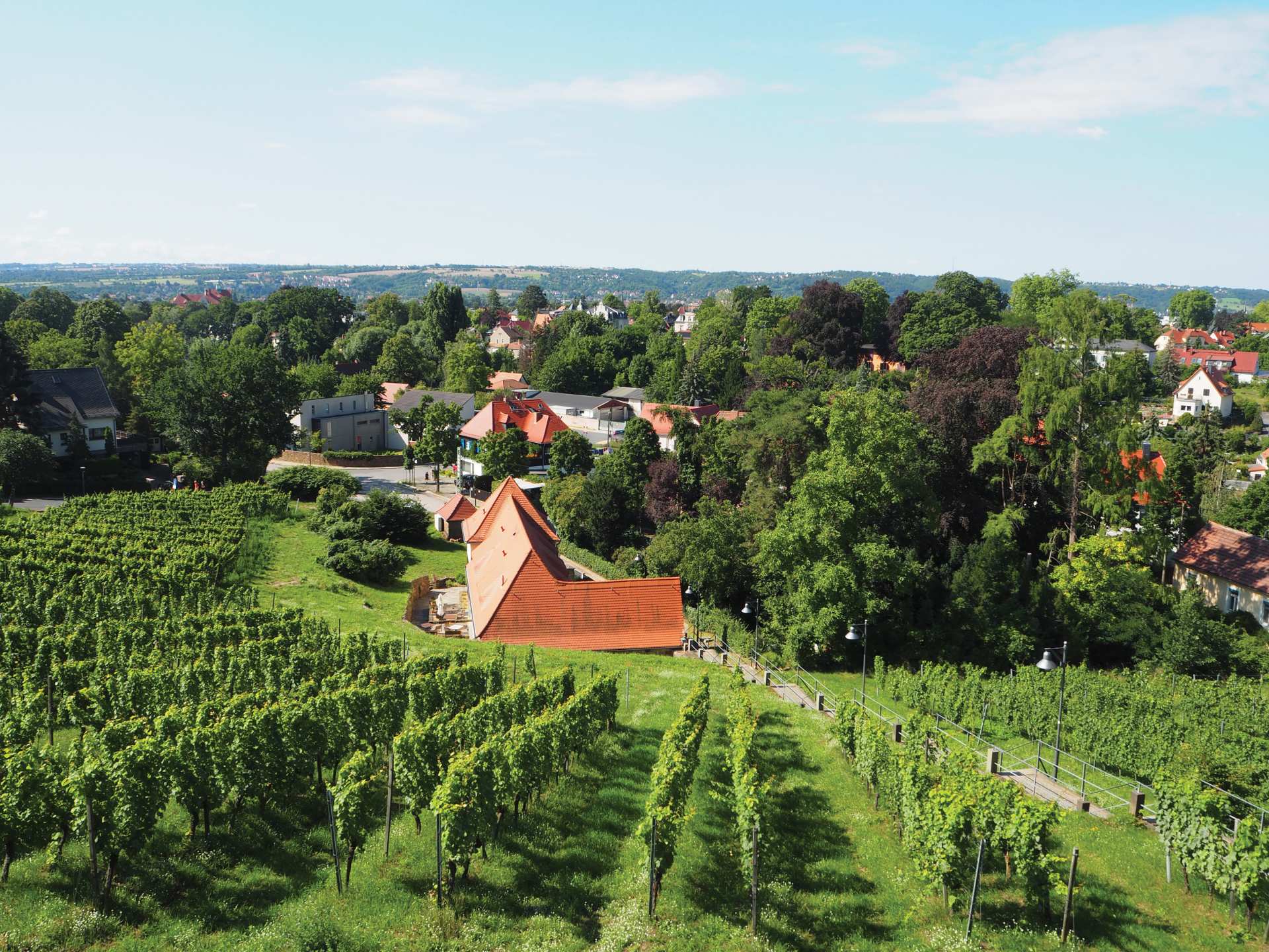 Saxony, Germany | Hoflößnitz Winery’s vertical vineyards Saxony, Germany | Hoflößnitz Winery’s vertical vineyards