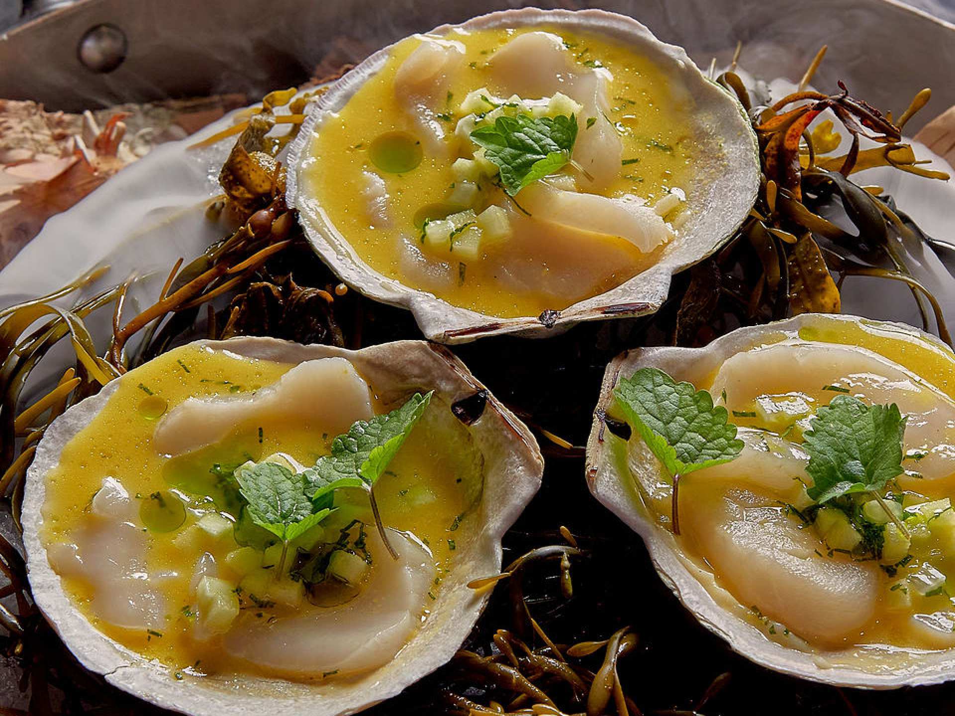 Best patios in Toronto | Scallop crudo at Via Allegro