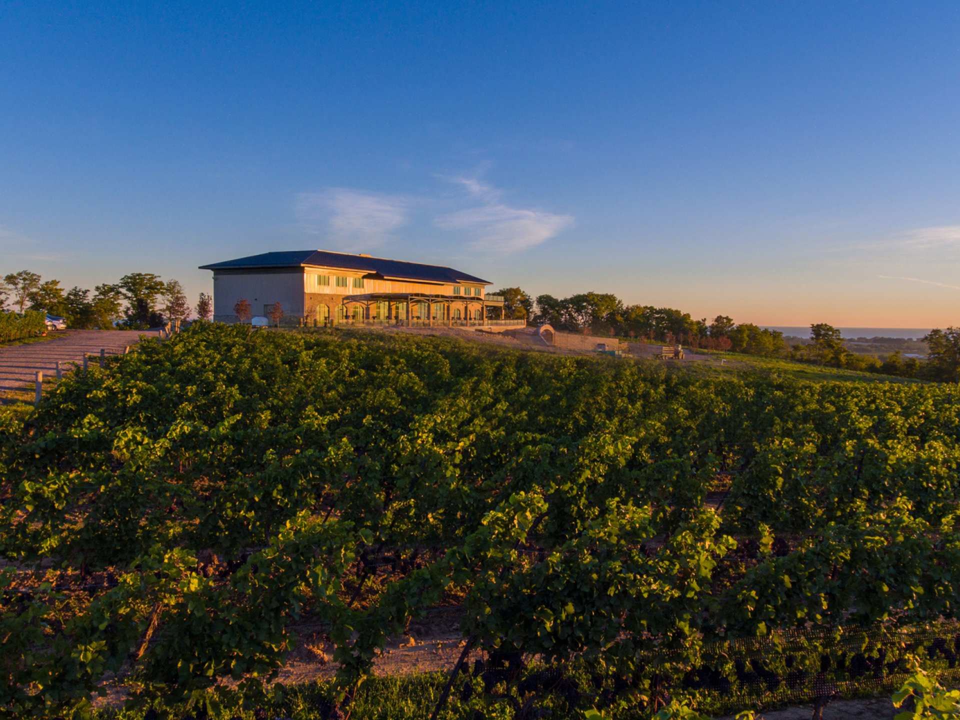 Best wineries in Beamsville | The exterior view of Megalomaniac Wines