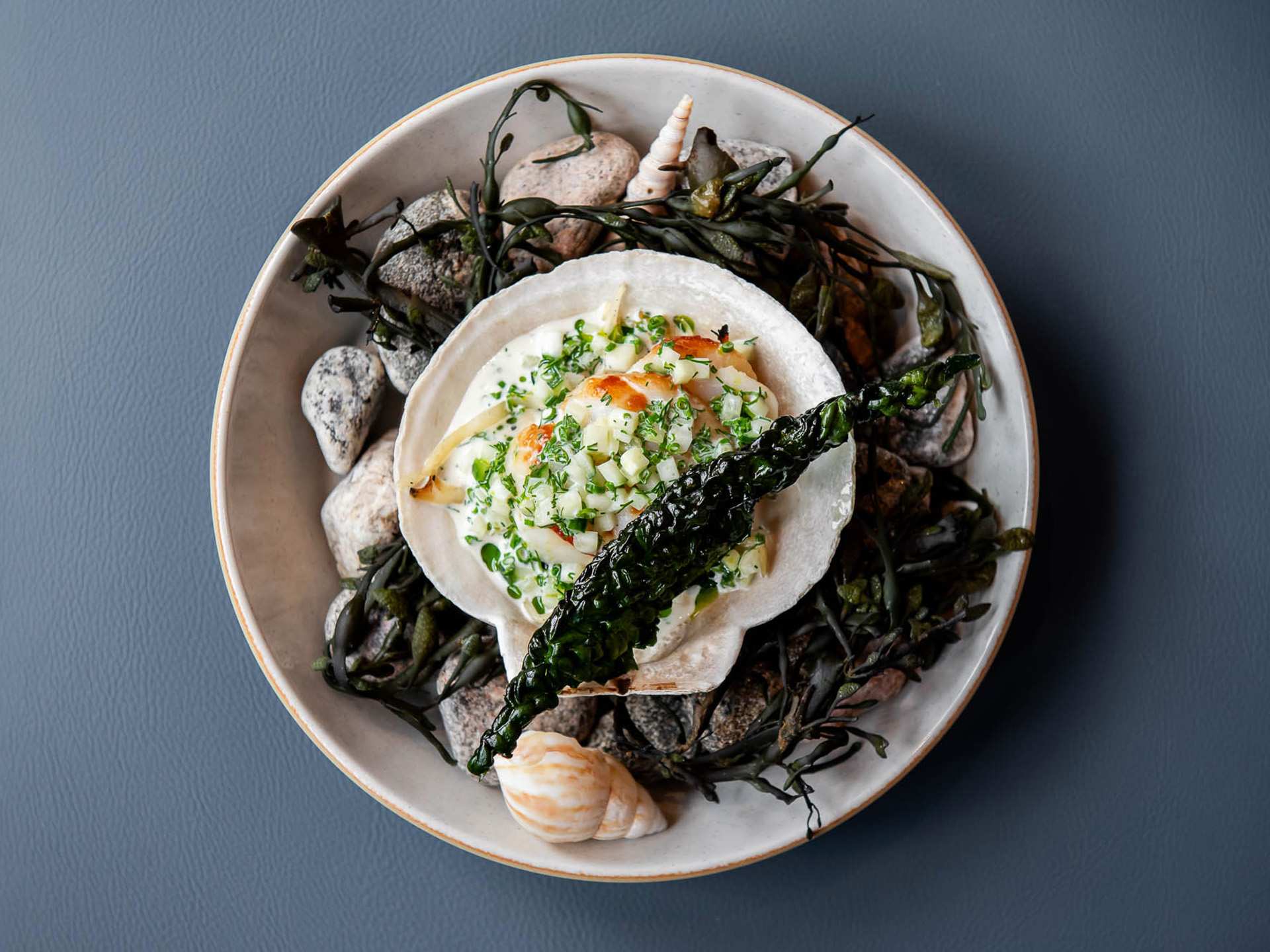 The best downtown Toronto restaurants | Scallops decorated at The Dorset