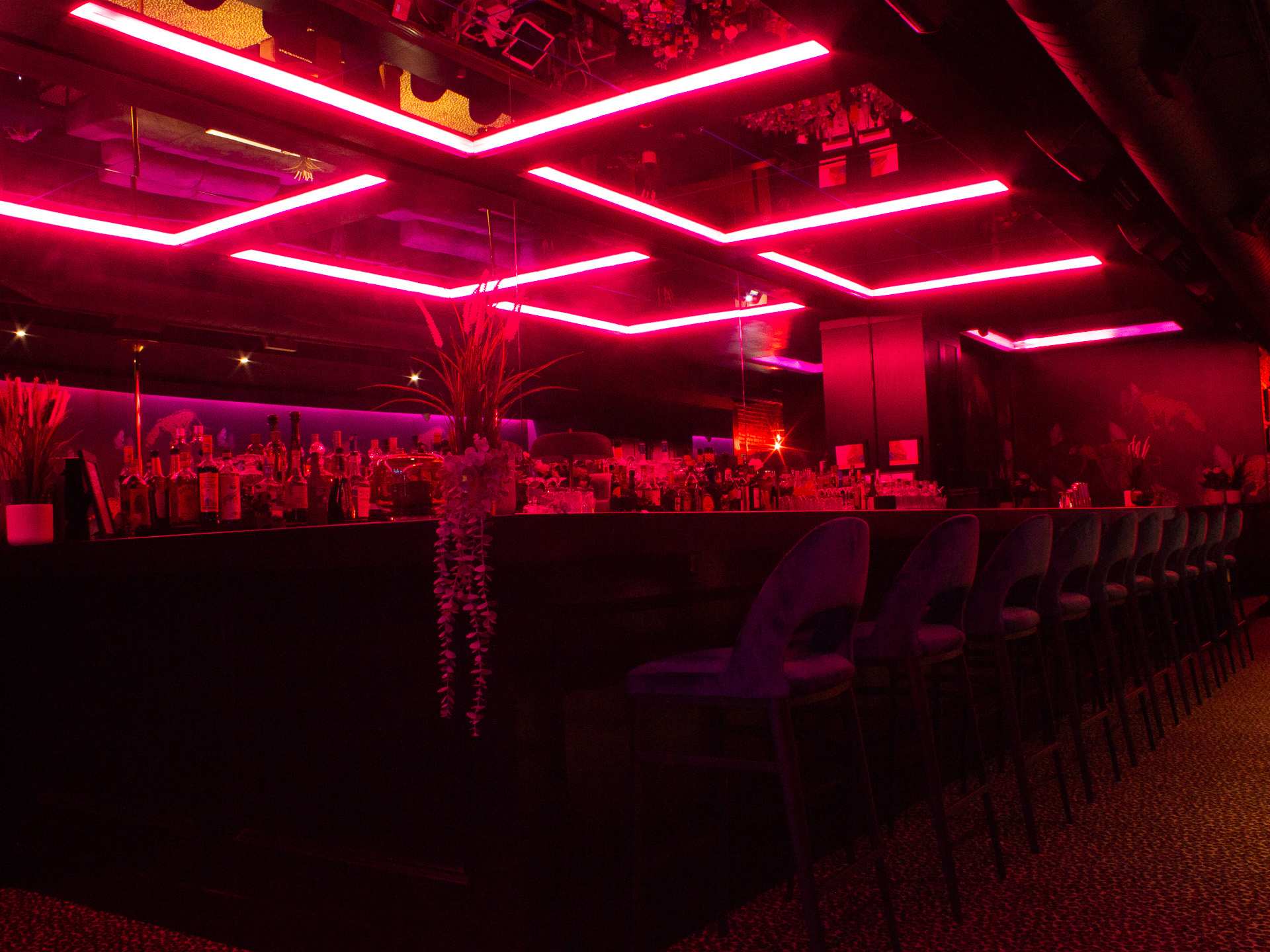 Best new Toronto restaurants | The interior of Baby's Cabaret