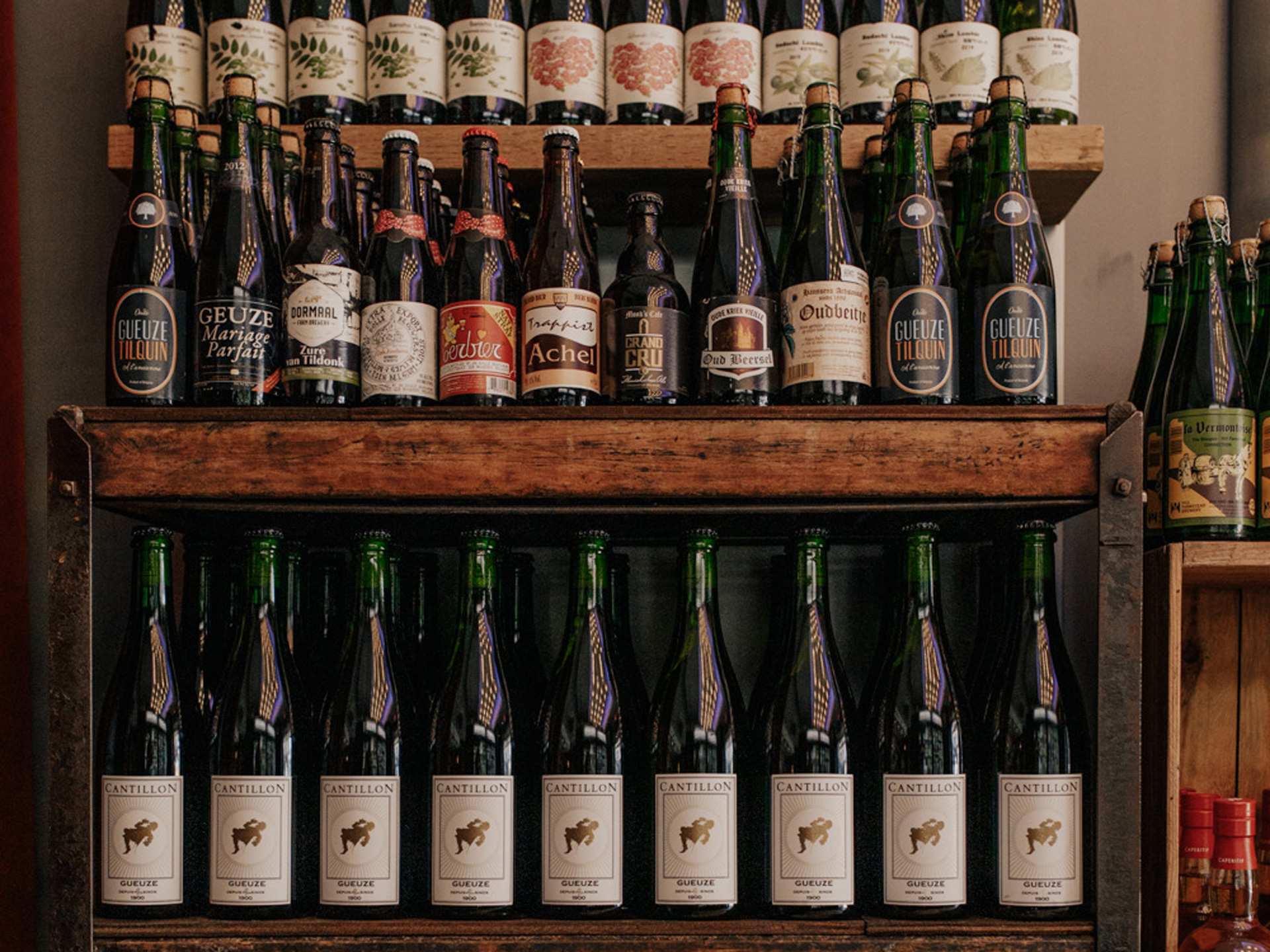 Toronto bottle shops and alcohol stores | Wine bottles lined up on a shelf at Bottega Volo in Littly Italy, Toronto