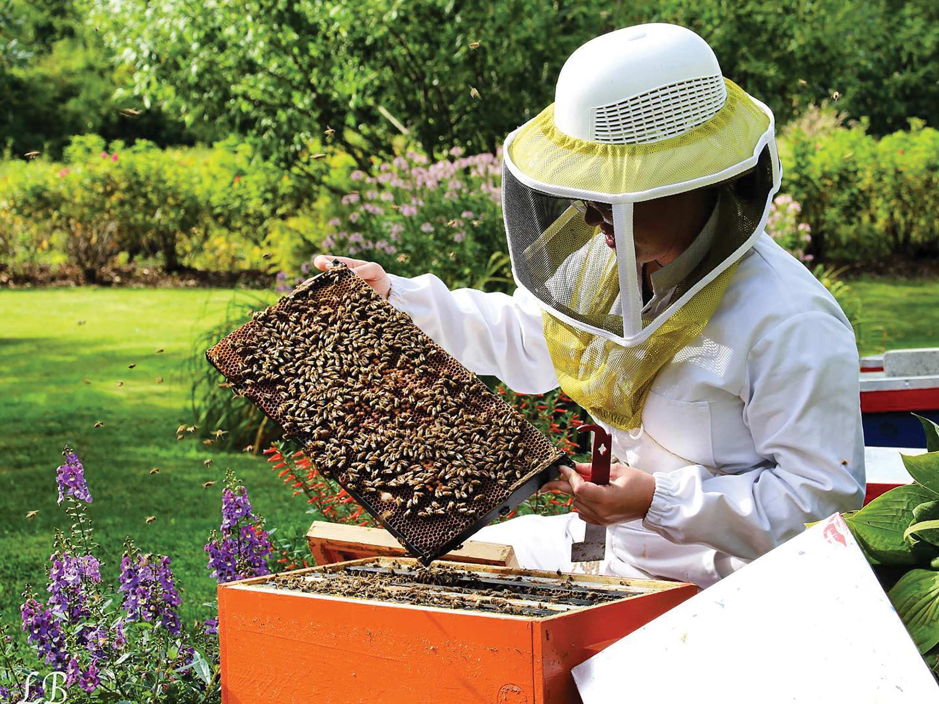 A beekeeper holding a hive A beekeeper holding a hive