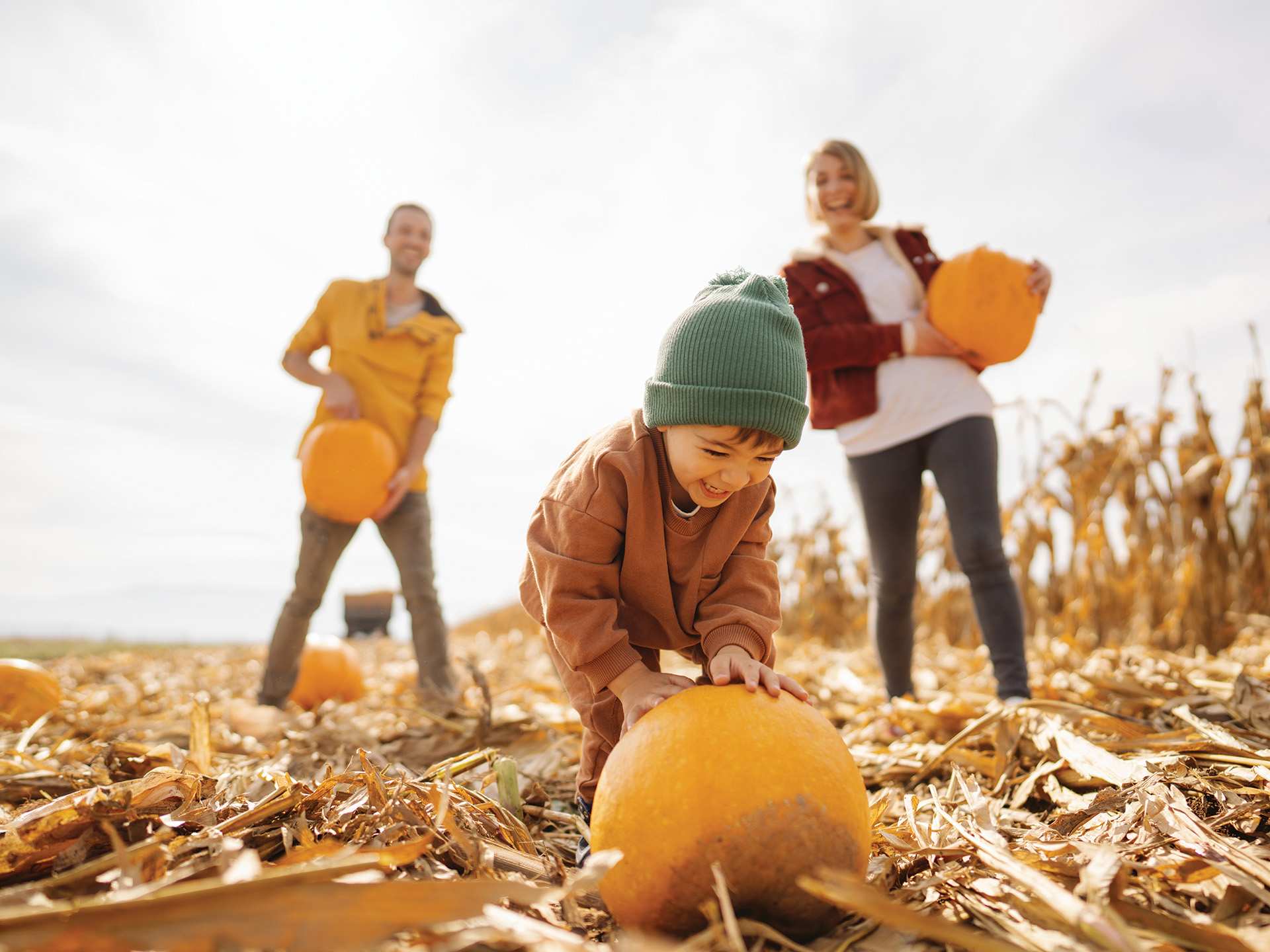 A family playing in a pumpkin patch A family playing in a pumpkin patch