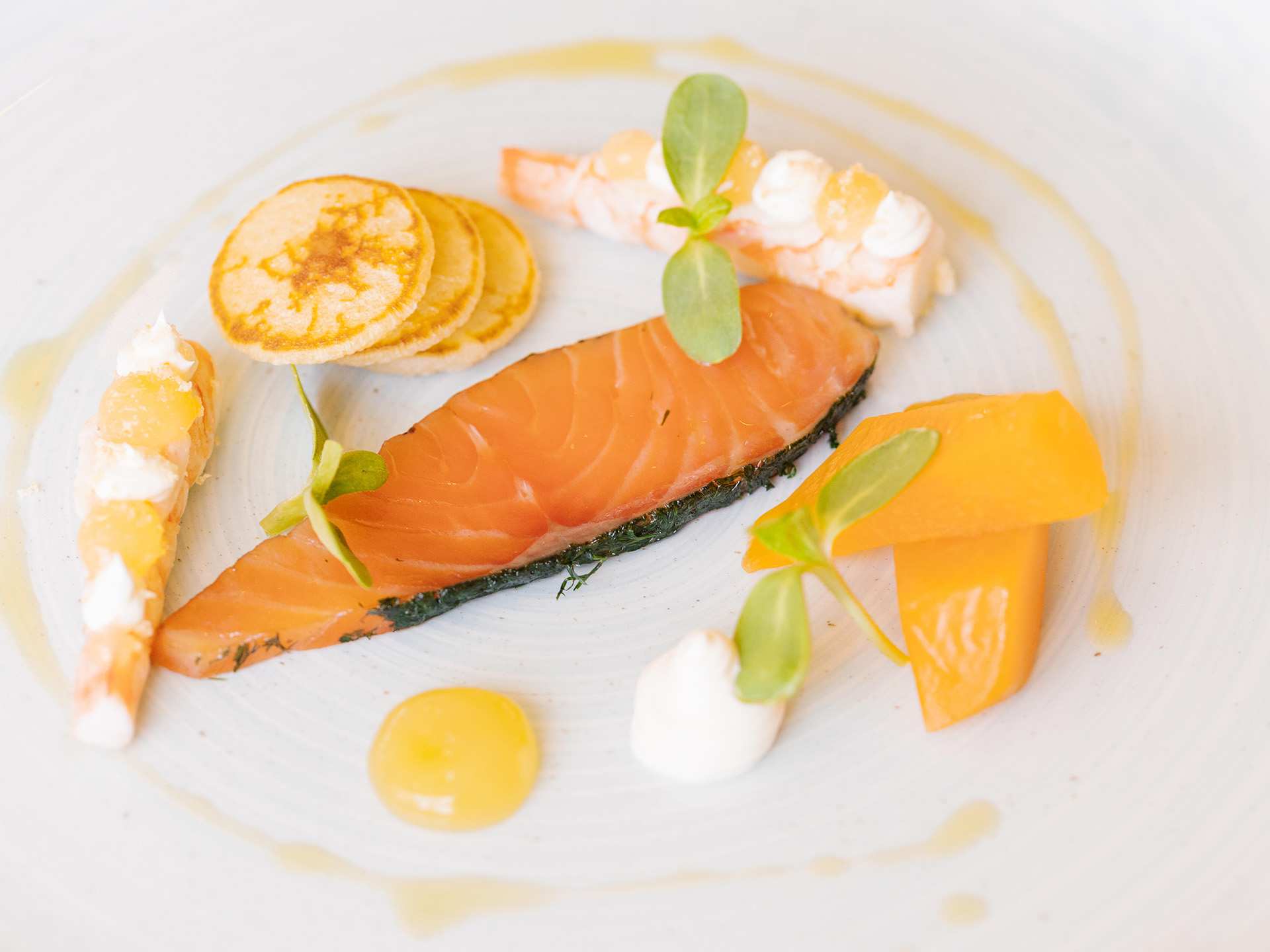 Salmon at Trius Winery and Restaurant