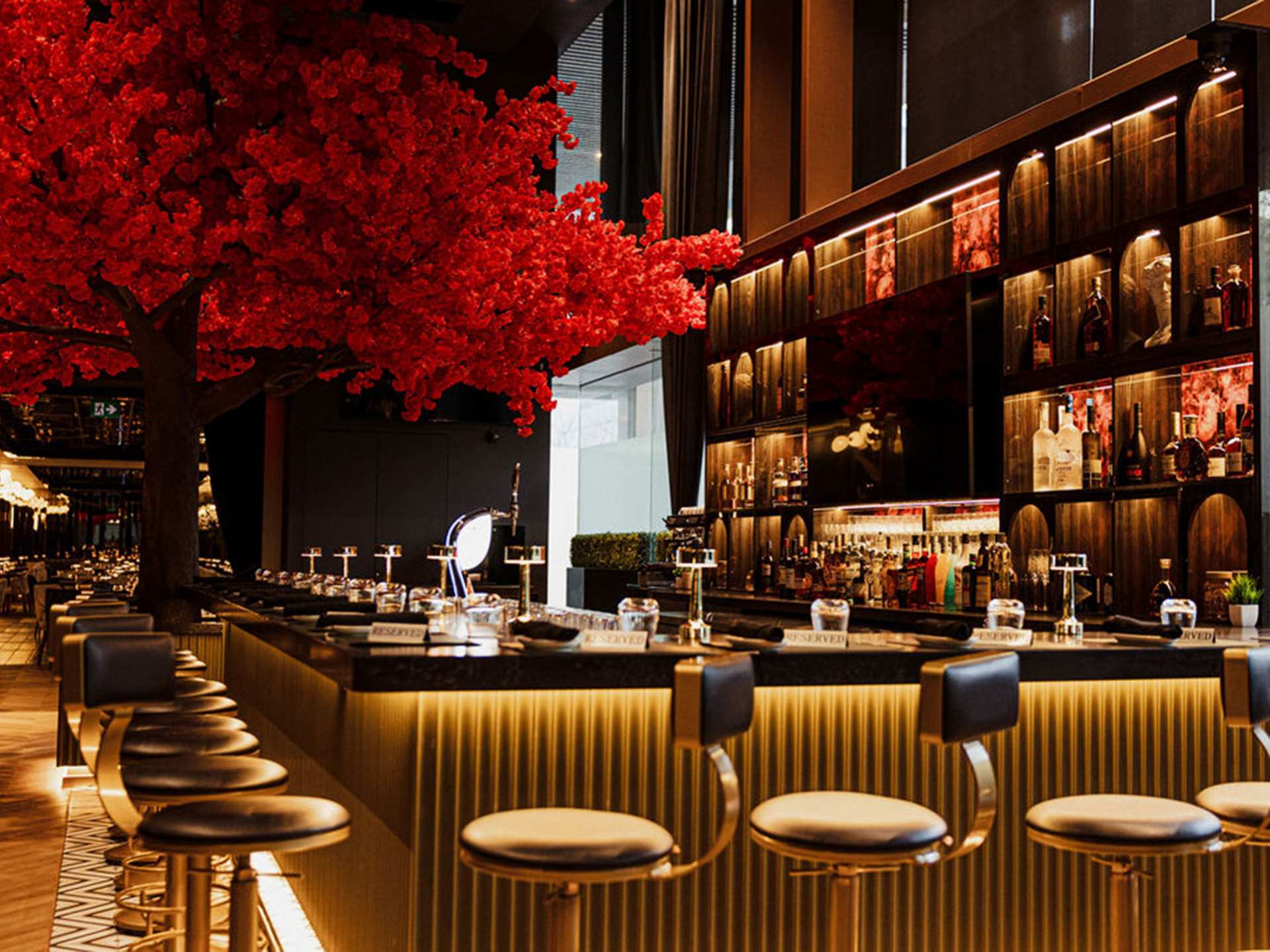 New restaurants Toronto | Inside Casa 73