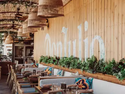 Late night food in Toronto | The rooftop at Baro with palm trees and chairs