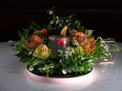 Best cocktail bars in Toronto | A clear cocktail surrounded by greenery at Daisy