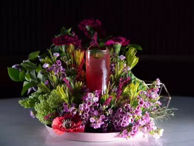 Best cocktail bars in Toronto | A magenta-hued cocktail at Daisy