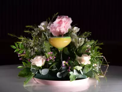 Best cocktail bars in Toronto | A yellow cocktail surrounded by greenery at Daisy