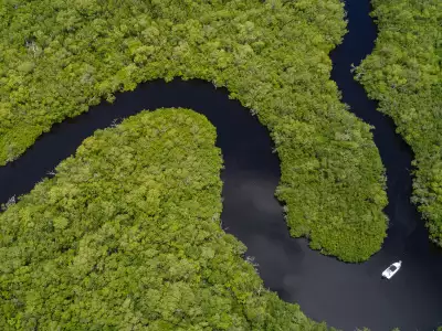 Mangroves and a boat in Florida's Paradise Coast