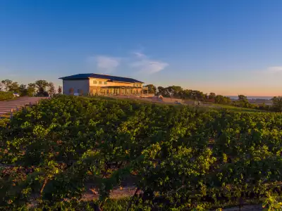 Best wineries in Beamsville | The exterior view of Megalomaniac Wines