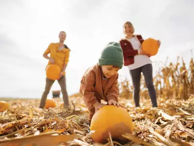 A family playing in a pumpkin patch