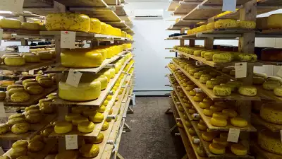 Gouda cheese at Glasgow Glen Farms