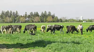 greenspace-rolling-meadow