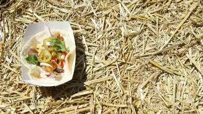Taco Fest