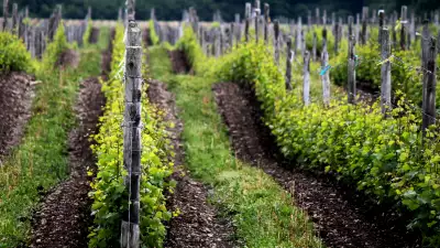 A Self-Guided Tour of Prince Edward County