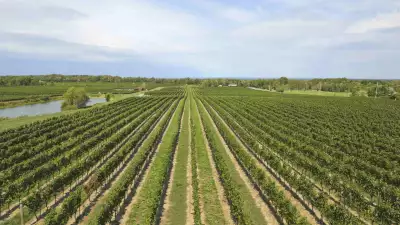 Beamsville Bench