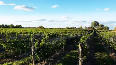 The Foreign Affair Winery