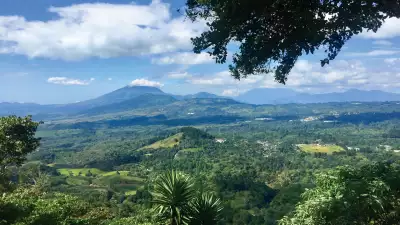 Guatemala coffee