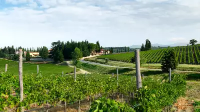 Ruffino Modus Super Tuscan wine
