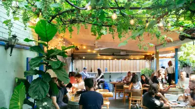 Paradise Grapevine, wine bar and bottle shop | On the patio at Paradise Grapevine