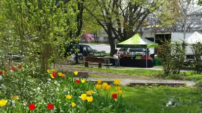 The freshest farmers&rsquo; markets in Toronto | The Dufferin Grove Farmers&rsquo; Market