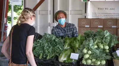 The freshest farmers&rsquo; markets in Toronto | Fresh lettuce at the Brickworks Farmers' Market
