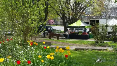 Things to do in Toronto this August 2021 | Dufferin Grove Farmers' Market