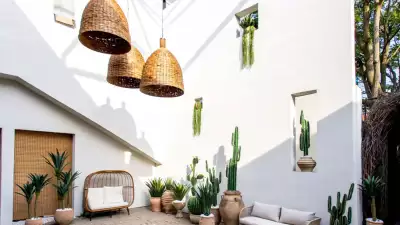 Soluna | Greenery and white walls outside of Soluna on Queen West