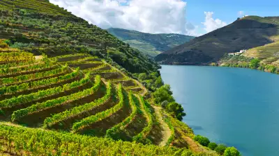 Wines of Portugal | Douro Valley
