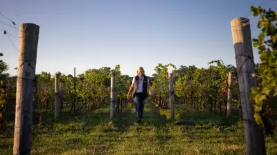 Domaine Queylus | Head winemaker Kelly Masson walking through the vineyard