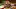 Thanksgiving dinner in Toronto | McEwan Turkey Dinner