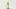 Holiday wine | Rosewood Winery 2021 White Rabbit