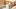 Toronto bottle shops and alcohol stores | The front counter inside Dear Grain on Ossington
