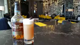 The Black Forest Fizz cocktail with bourbon and grapefruit at the Thompson Toronto hotel