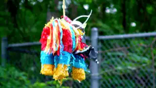 Pinata Pinata