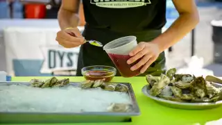 Oysters Oysters